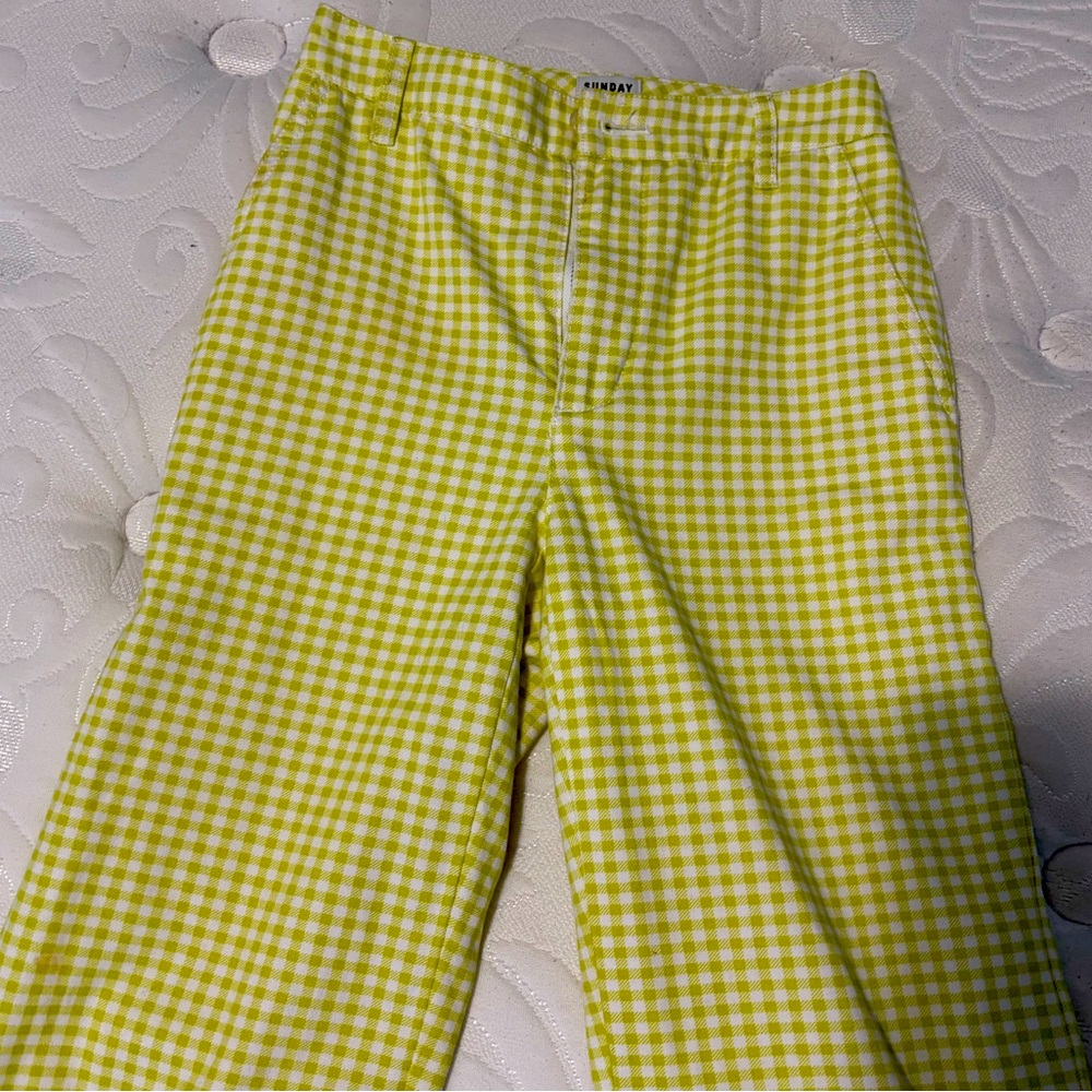 ARITZIA pants